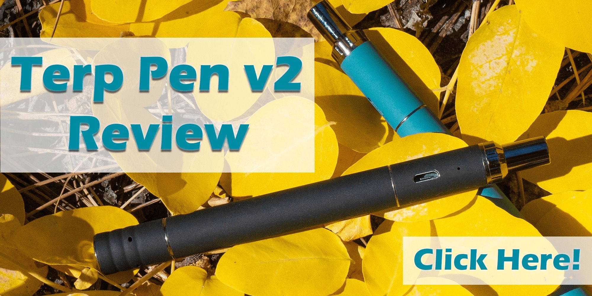 Boundless Terp Pen & Terp Pen XL Review - Vape Guy