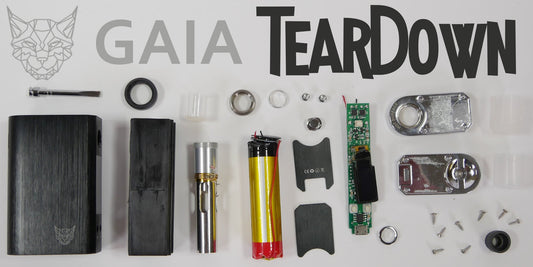 Linx GAIA Teardown