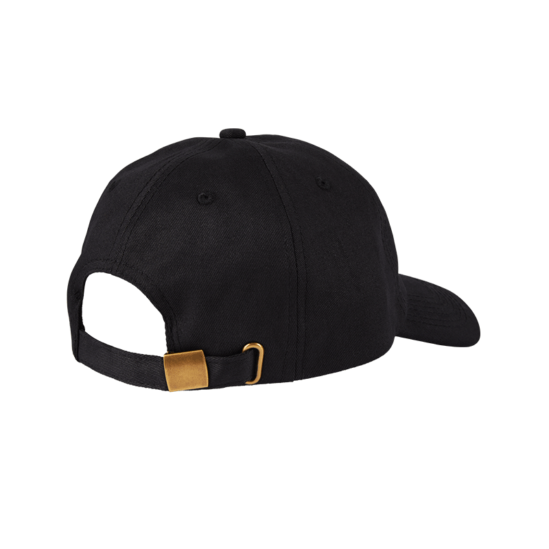 Higher Standards Dad Hat Back