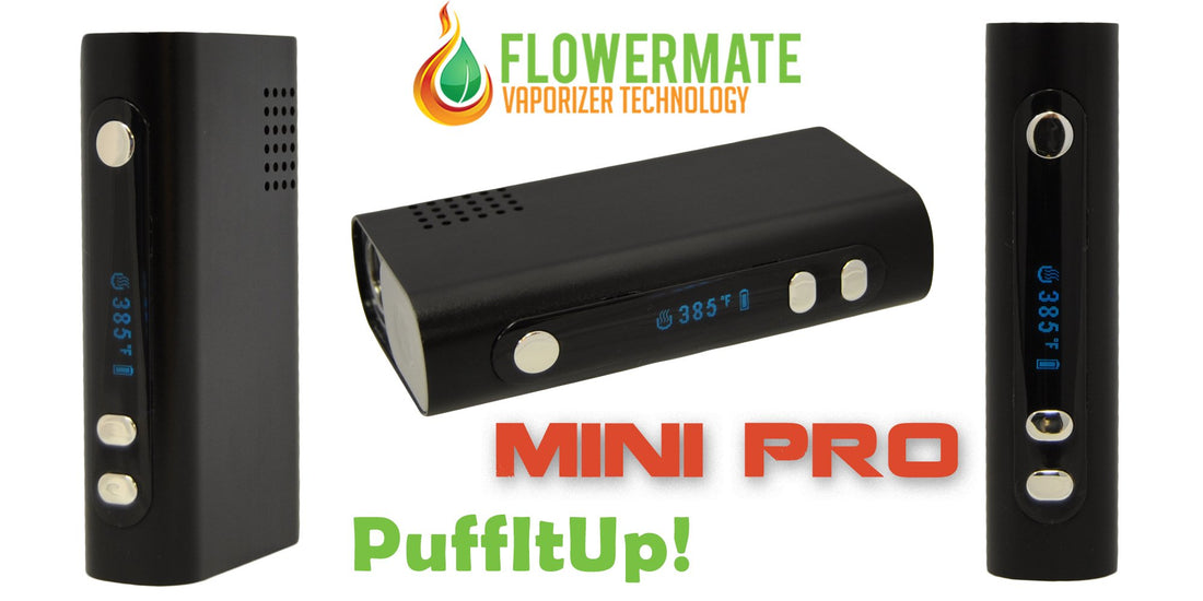 FlowerMate V5.0S Mini Pro, a Sneak Peek
